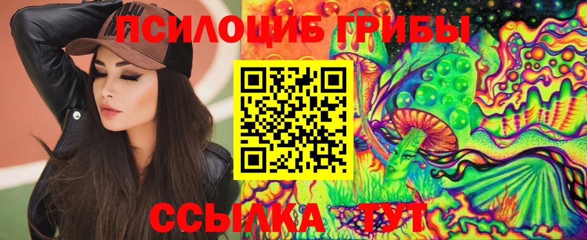 где найти наркотики  Вход с VPN  Ржев  Псилоцибиновые грибы Psilocybe 